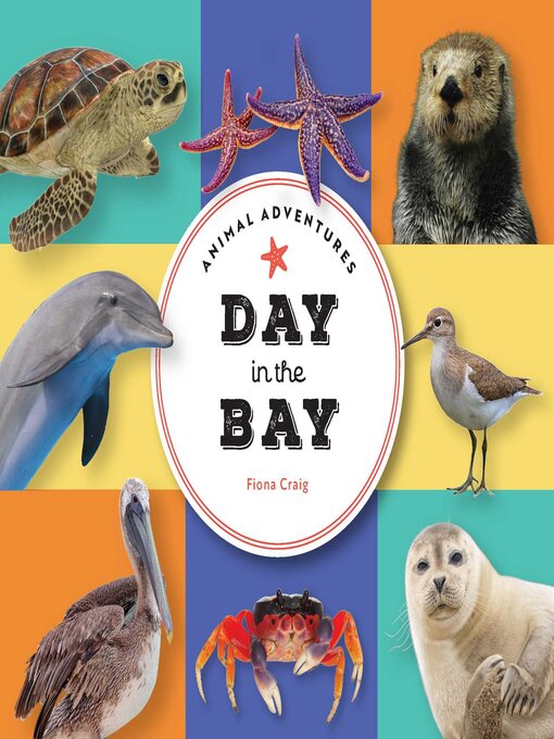 Cover image for Animal Adventures